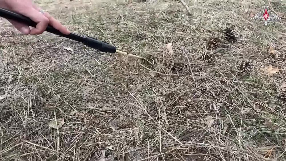 ������ ����������� ����� ������ ���������� ���� � ��������������� ������� �� ����������� �����������