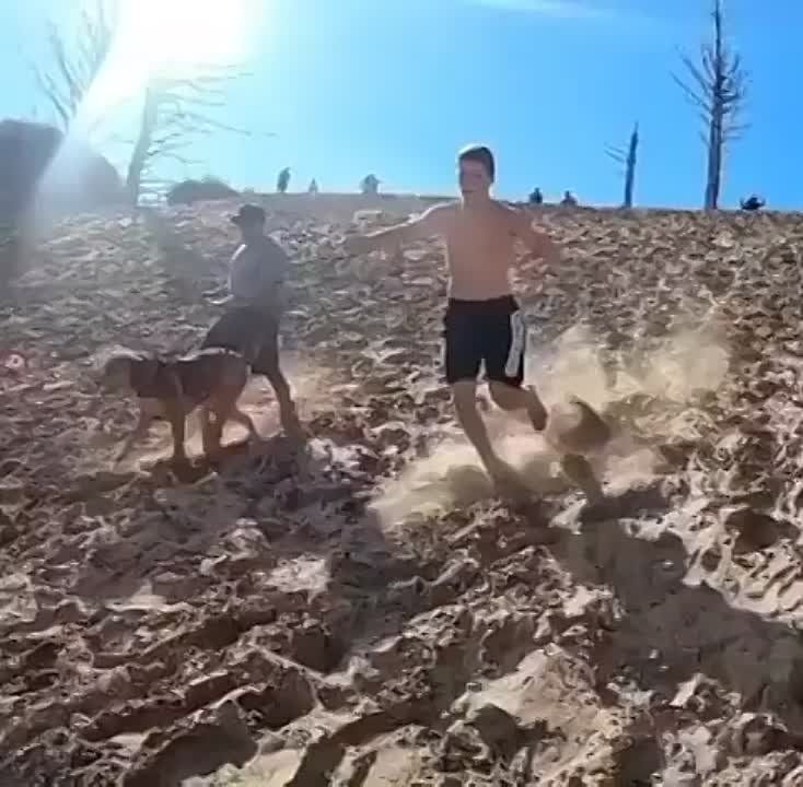 ������ ����, ��������!. ��������� � ����� ������ �������������� ��