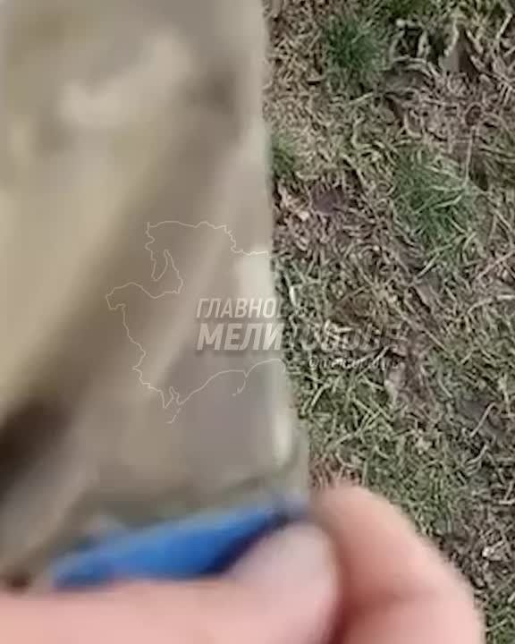 ������, � ����� ��� ���������� �������, ������ ���� � ���������� ������? � ���, �����, ����� �����-��������� �������