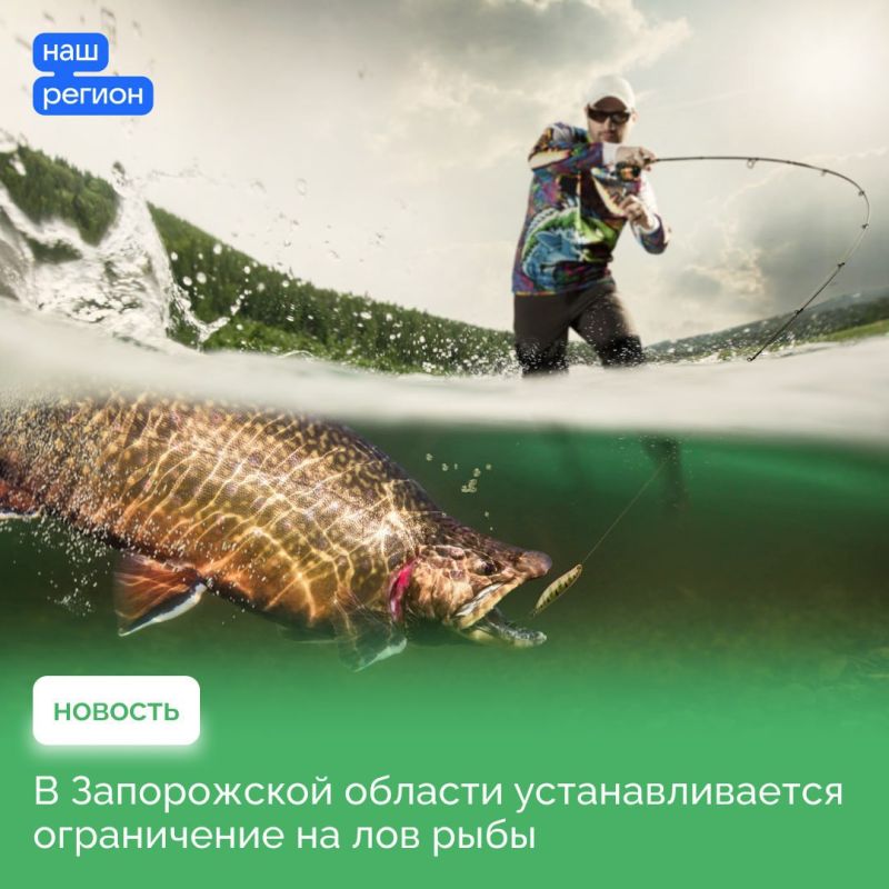 ������ ���������� ��� ���������