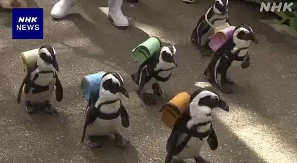 � ������ ��������� ������ ������� � ����� ������ �������� ����