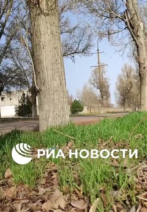 ��� ������������ ������������ ���������� ������������ � ��������-����������� ������ ����������� �������, ��������� ����������� ������������ ���� ��� �������������� �����������