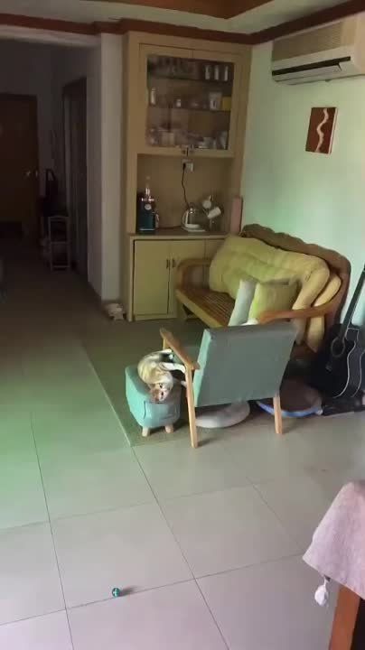 ������ ����, ��������!. ������� �������, � ������ �������� ��� ������ ������ �������������� ��