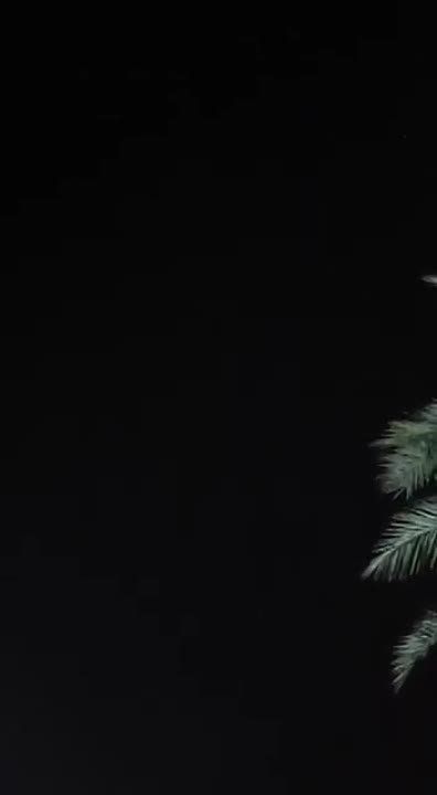 ���� �������� ����� ������� � ������� �������� �������������-���������, ���������� ���� Axios ����� �����