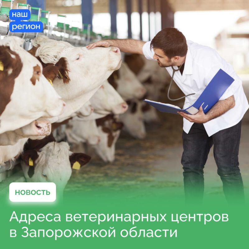 ��� � ����������� ������� ���������� ���������� ��������� �����