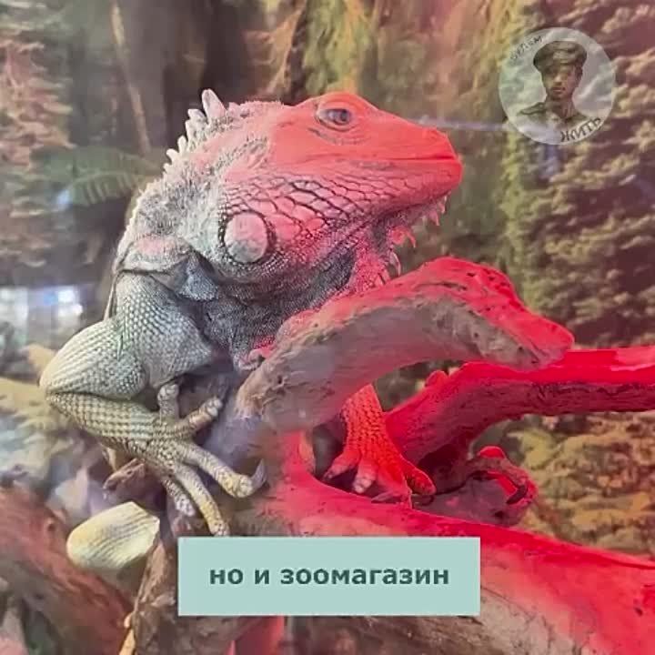 ����� ��� ��������� ������ � ���������