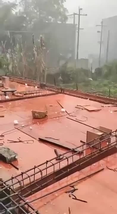 � ����� �� �. ������� ��������� ���� "����"