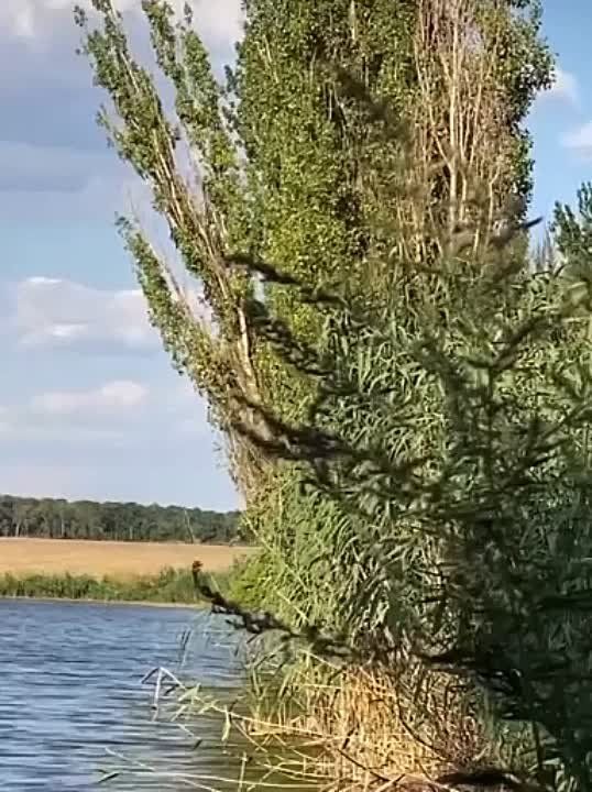 ������ ����� �� ���� ��������