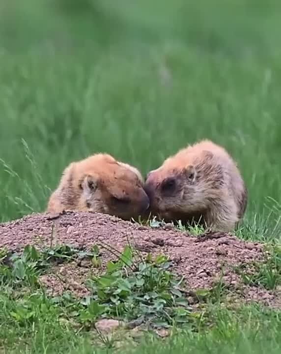 � ��� �� ��������� ���� ��������� �����?