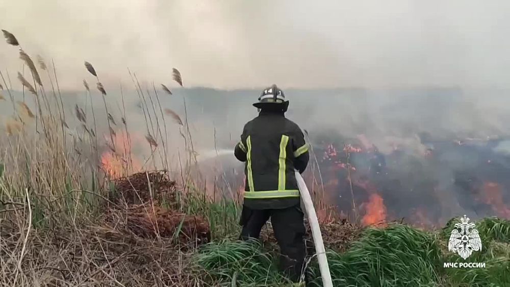 ����� 450 ���������� �������� � ����������� ������� � ������ ����