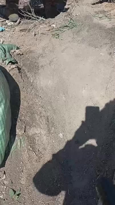 �� ����� ������� ��������� ����������