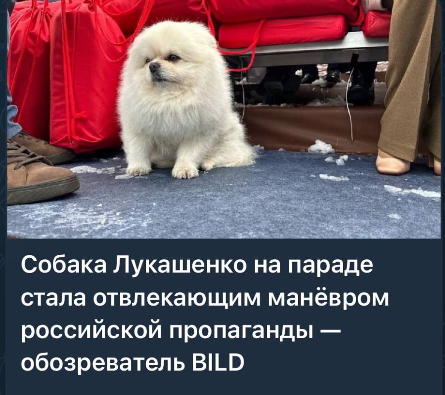 ������ ���� �� �������� ���������� ������ ������ ��������� ����������� � �������