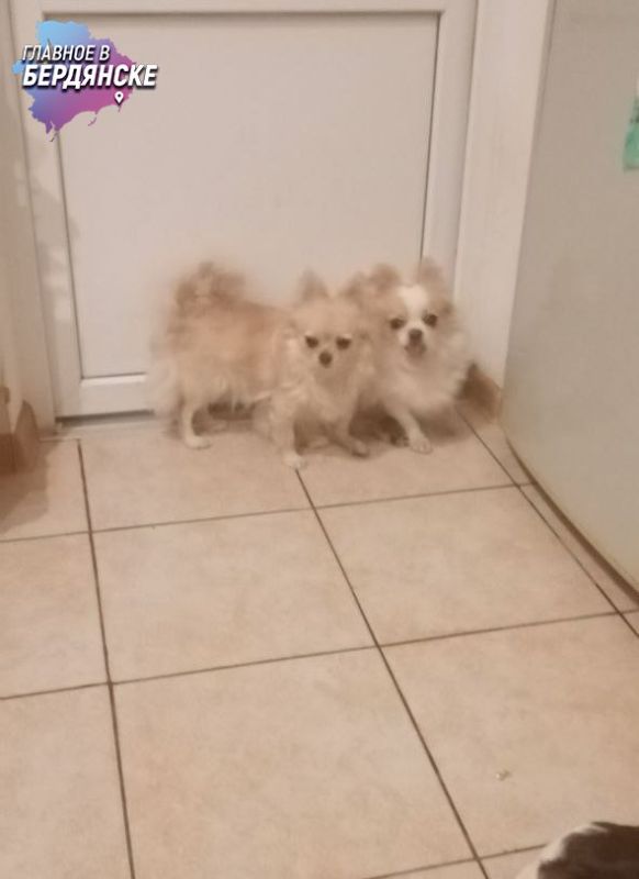 � ��������� ���� ��������� ������ �� ������ �����