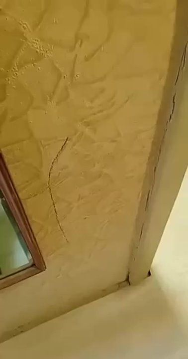 ������ ���������� � ���� ��� �� �������