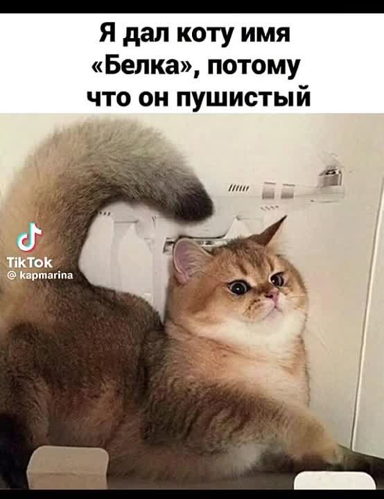 � ��� ����� ������ ����?