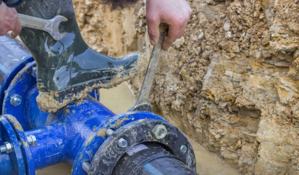 � ��������� ������������� ������������� �������� ������� ������������������� 45 000 ���������� � �����