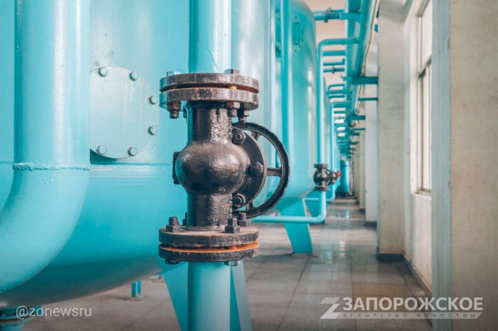 �� ������������ ������� ������������� � ��������� �������� ����� 5 ���� ������