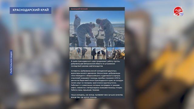 Состояние экологических систем это
