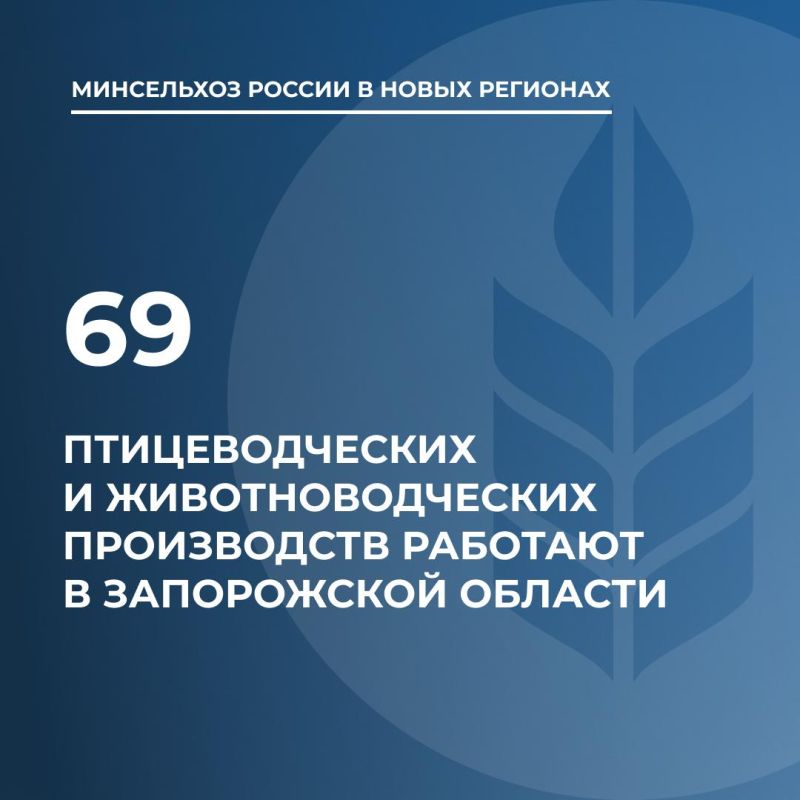 ������������ ������, ���� � ���: � ����������� ������� �������� 69 �����������