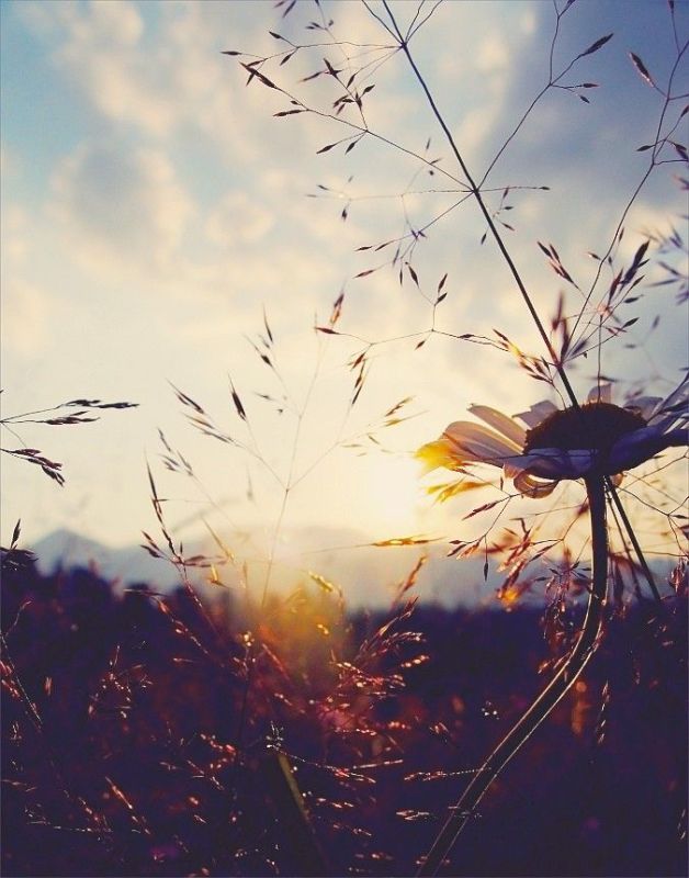 ������ ����. � �� �����, ��� �������