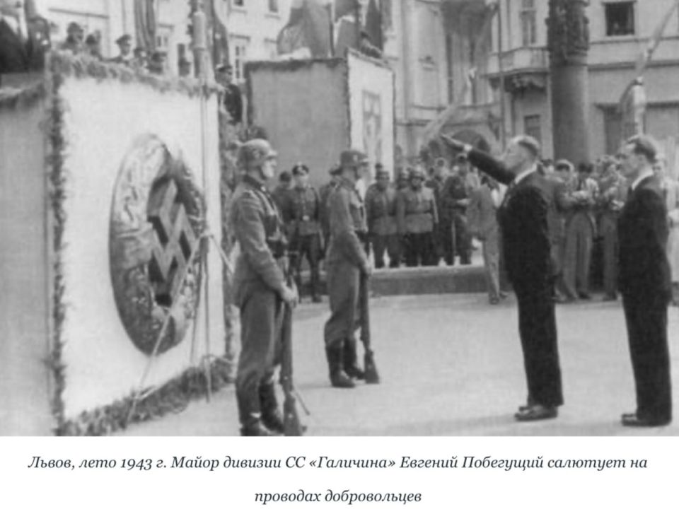22  1944       (  )  1-       