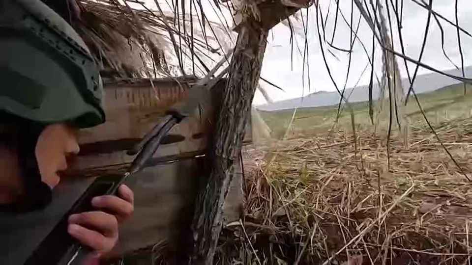  :       - 