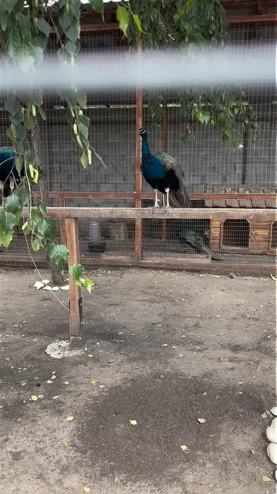   ... ?       !