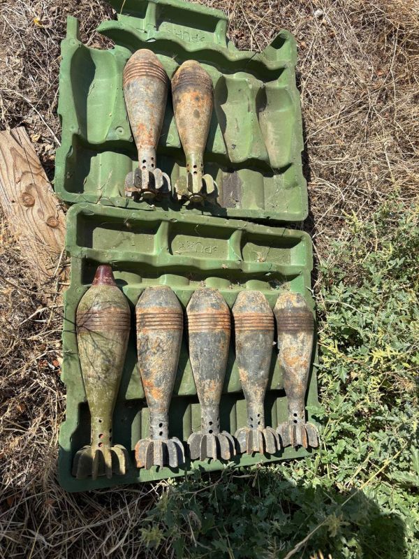 Полицейские в Запорожской области обнаружили схрон боеприпасов