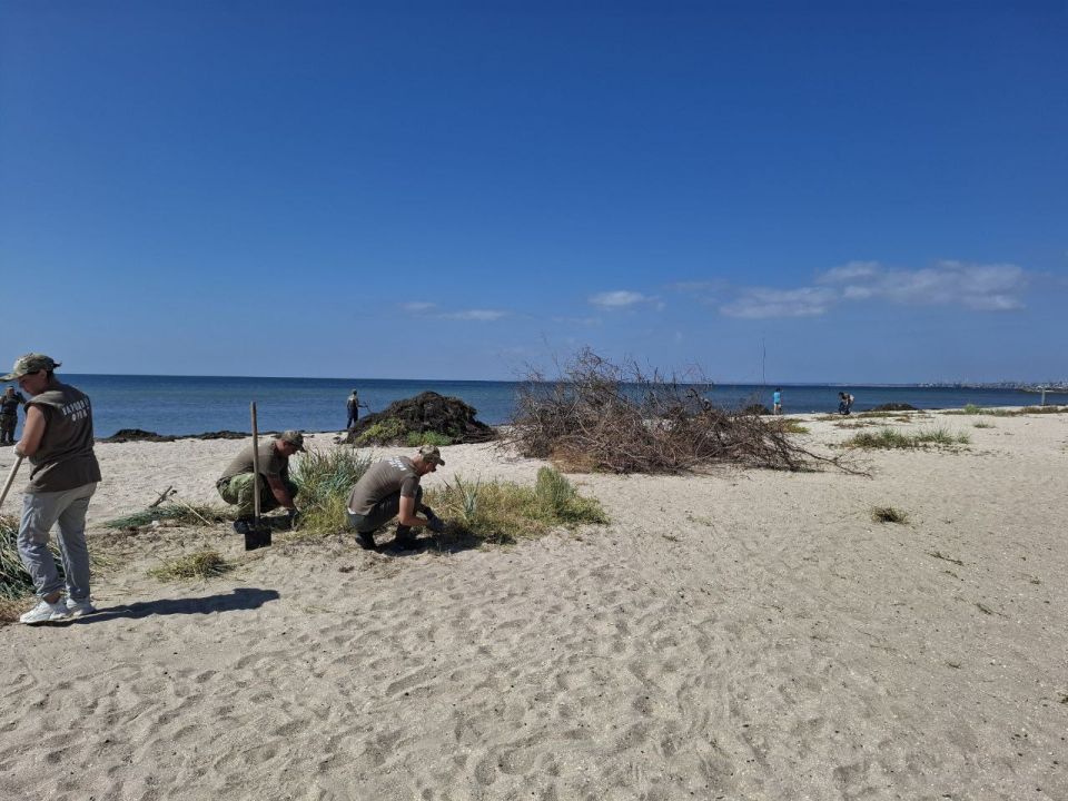 Бердянск преображается к Дню города — общими усилиями