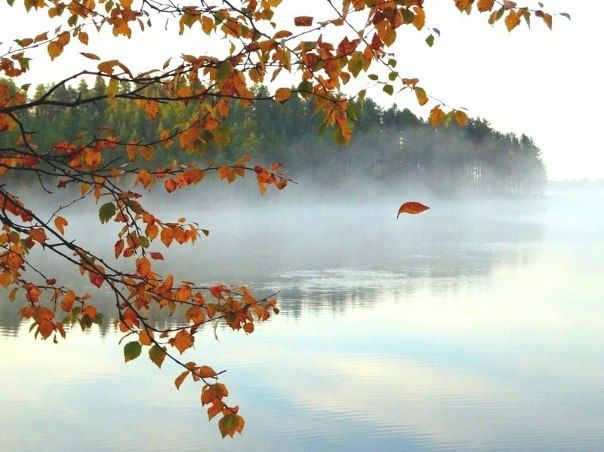 Доброе утро. А вы знали, что сегодня