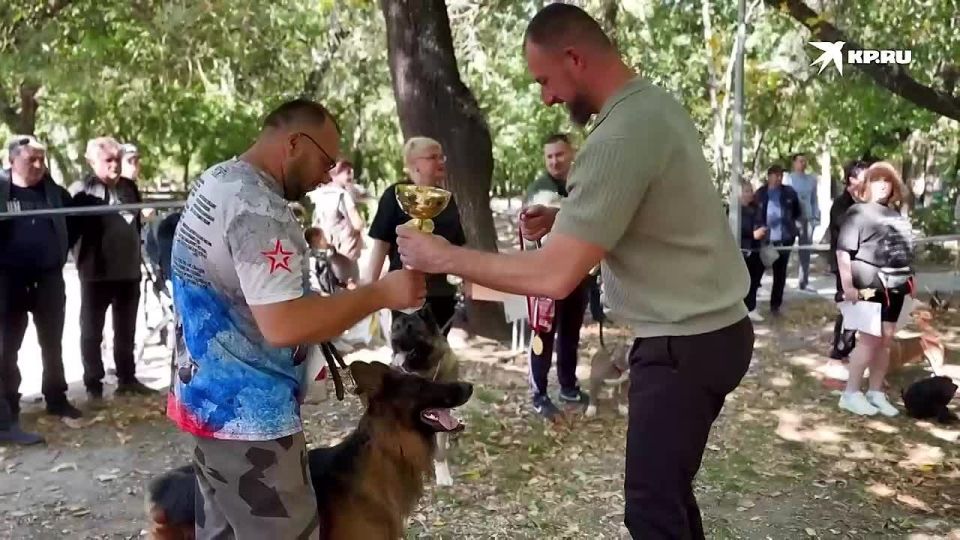 Немецкая овчарка взяла кубок победителя на выставке собак в Бердянске