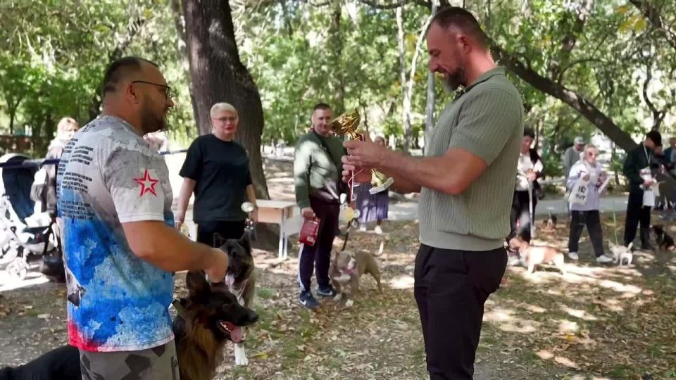 123В Бердянске состоялась выставка собак всех пород «Кубок Приазовья-2025»