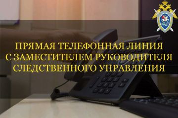 Анна Хорошун: 17 сентября состоится прямая линия с замруководителя следственного управления СК России по Запорожской области