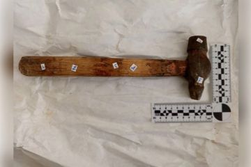 Подробности убийства 7-летней девочки в Бердянске раскрыли в СК России по Запорожской области