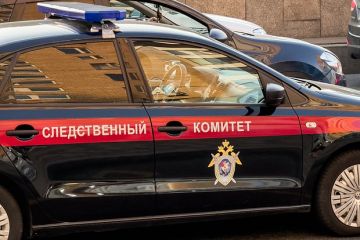 В Бердянске завершили расследование убийства 7-летней девочки фанаткой Пичушкина