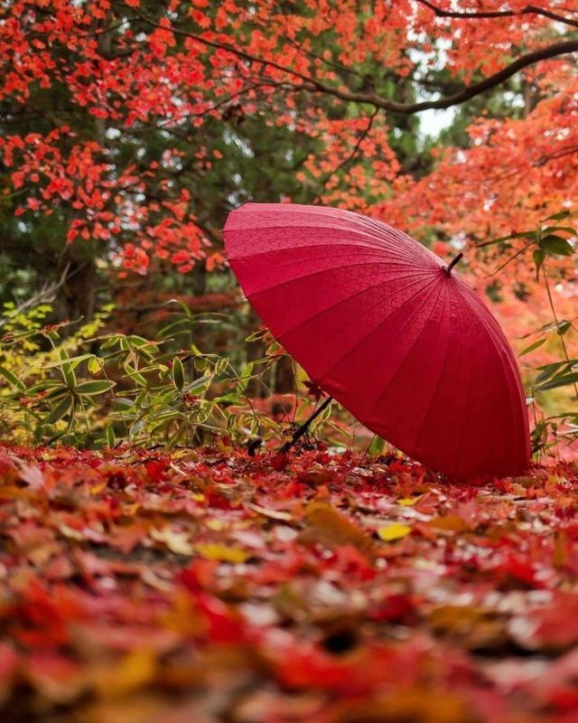 Доброе утро. А вы знали, что сегодня