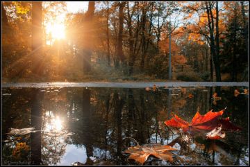 Доброе утро. А вы знали, что сегодня