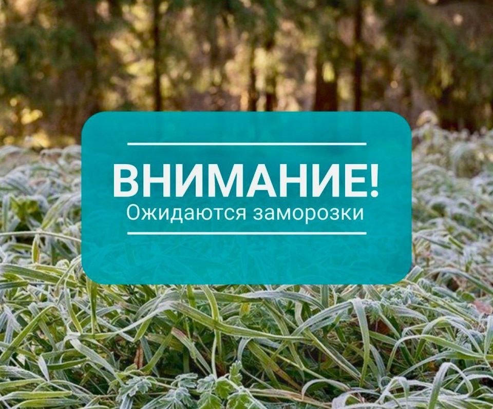  :        :    