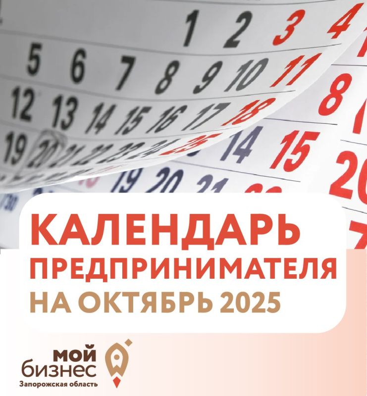     2025