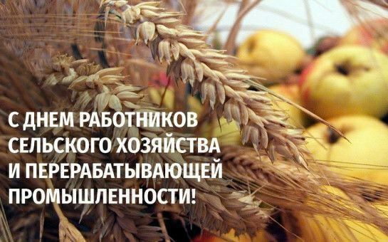 Анна Хорошун: 12 октября - День работника сельского хозяйства и перерабатывающей промышленности