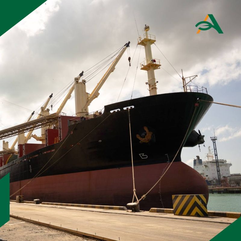 Порт Бердянск в Запорожье получит постоянный погранпост РФ для пропуска грузов