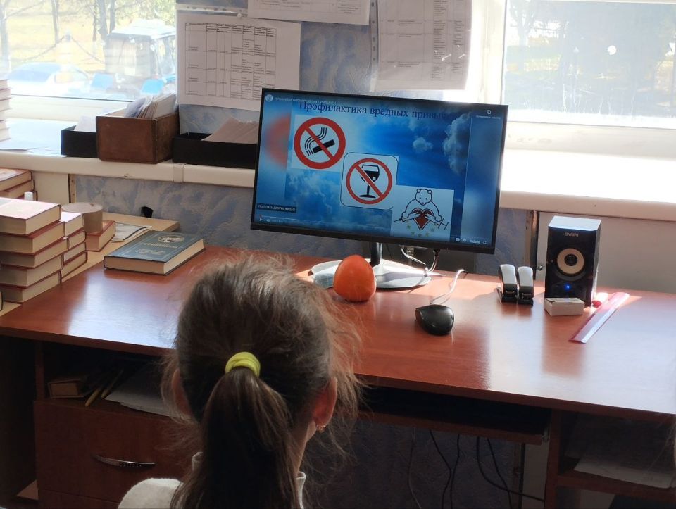 В библиотеке села Осипенко и Доме культуры села Червоное Поле состоялись профилактические беседы