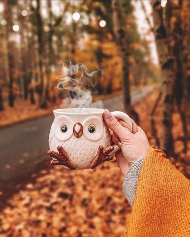 Доброе утро. А вы знали, что сегодня