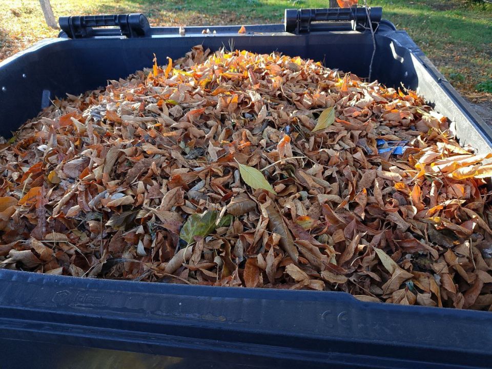  !.           (, , ,  )        