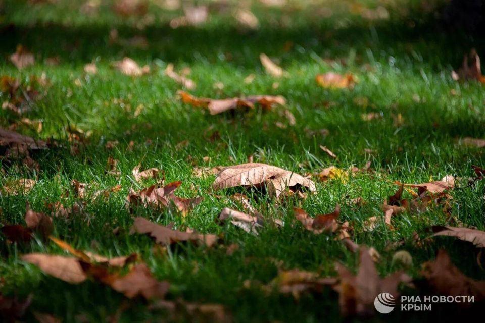 Погода на новых территориях России