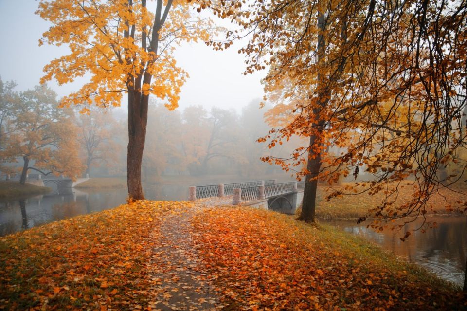 Доброе утро. А вы знали, что сегодня