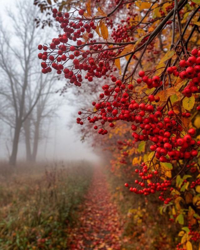 Доброе утро. А вы знали, что сегодня
