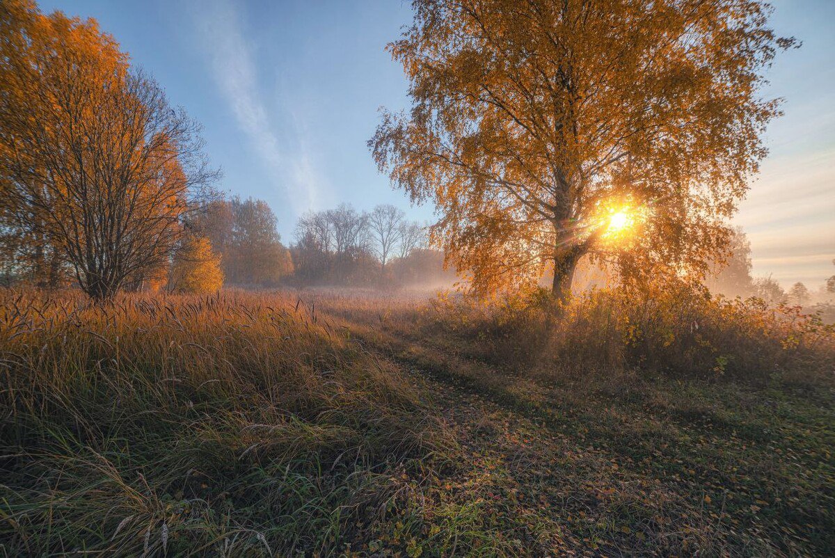 Доброе утро. А вы знали, что сегодня