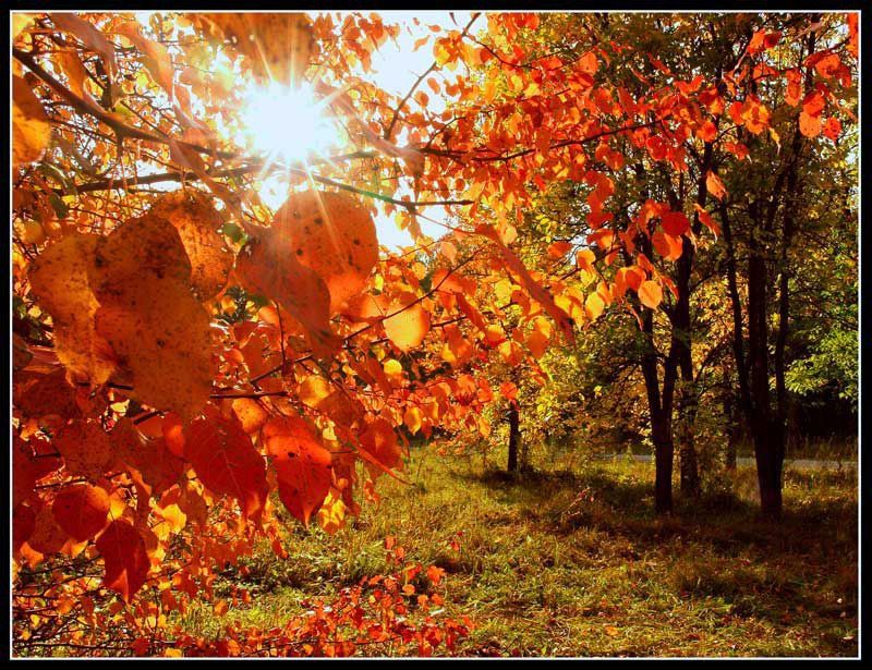 Доброе утро. А вы знали, что сегодня