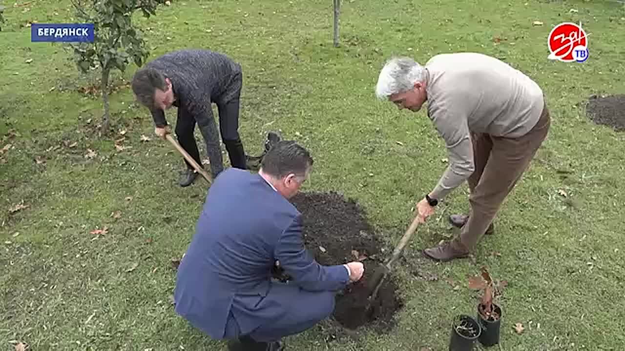 Положено начало сотрудничеству администрации Бердянска и Воронежского государственного лесотехнического университета